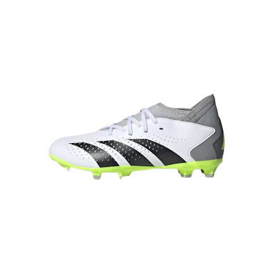 (Youth) adidas Predator Accuracy.3 FG J 'Crazyrush Pack'