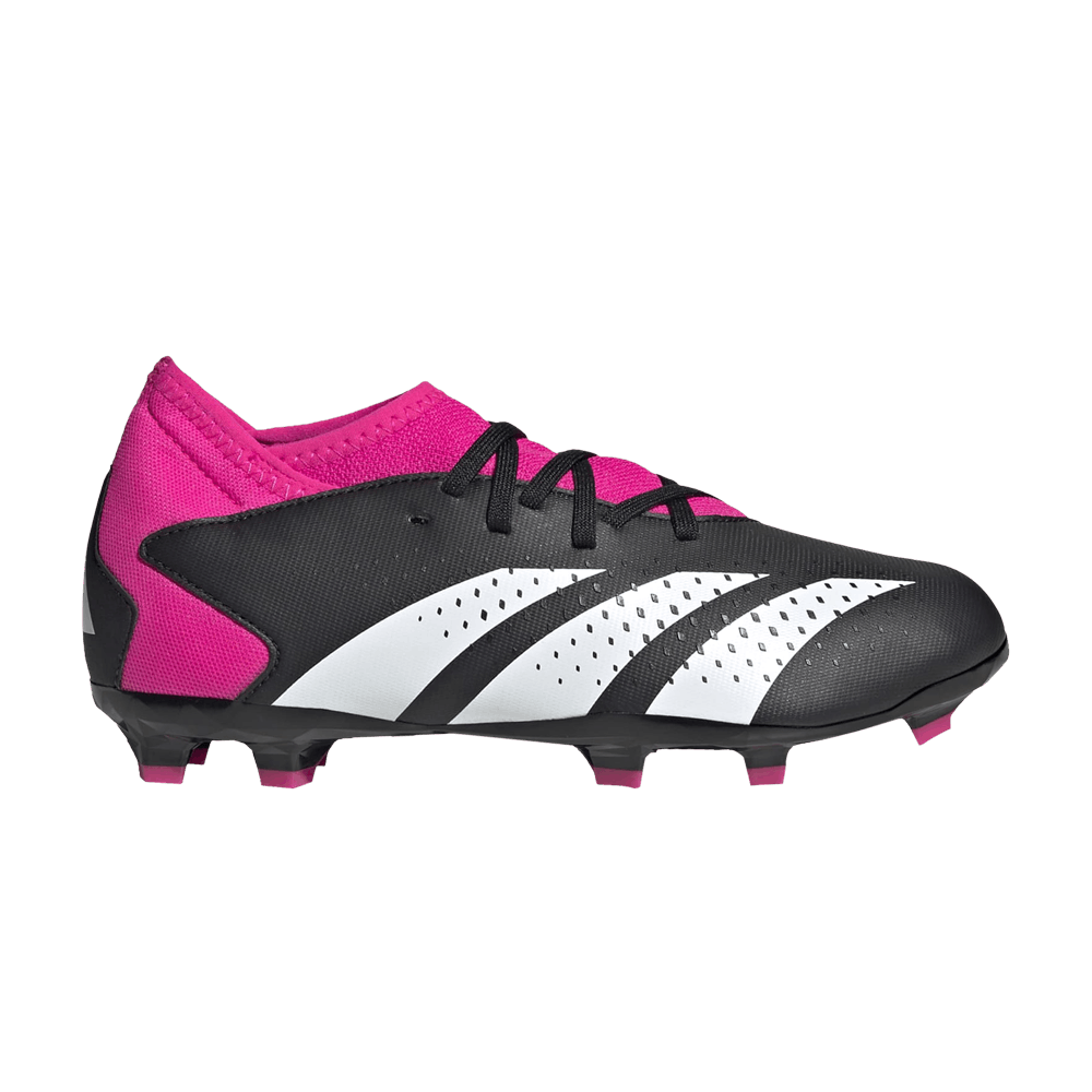 Buy (JR) adidas Predator Accuracy.3 FG J 'Pack Own Your Football' GW4609