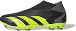Buy (JR) adidas Predator Accuracy+ Injection FG J 'Pakej Crazycharged' IG0771