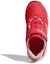 Purchase (JR) adidas Terrex Cc Voyager Cf Merah Jambu BC0538