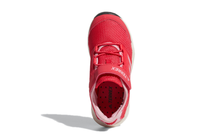 Purchase (JR) adidas Terrex CC Voyager Cf Roze BC0538