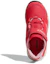 Purchase (JR) adidas Terrex CC Voyager Cf Roze BC0538