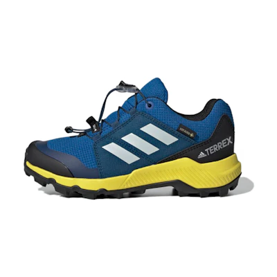 (Youth) adidas Terrex Gtx K GTX 'Blue Gray Yellow'