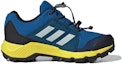 Order 兒童 adidas Terrex Gore-Tex 登山K 耐磨防滑 低筒戶外功能鞋 藍