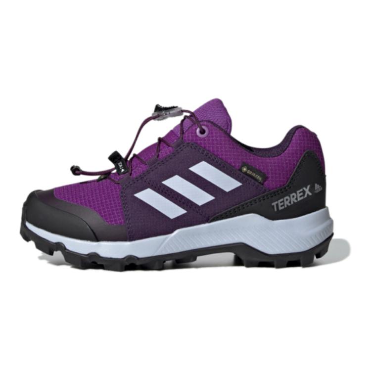 (Youth) adidas Terrex Gtx Purple BC0600