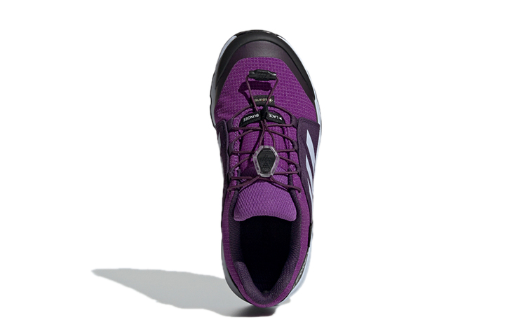 Purchase (JR) adidas Terrex Gtx Ungu BC0600
