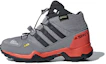 Buy (JR) adidas Terrex Mid GTX ''Gris'' CM7711