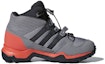 Order (JR) adidas Terrex Mid GTX 'Kelabu' CM7711