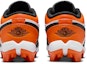 Lookbook (Youth) Air Jordan 1 Low Cleat 'Shattered Backboard' HF6885-801