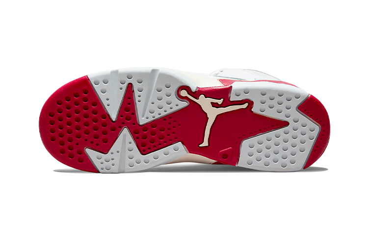 Details for (JR) Air Jordan Flight Club 91 ''Bianco Mystic Hibiscus'' DM1686-102