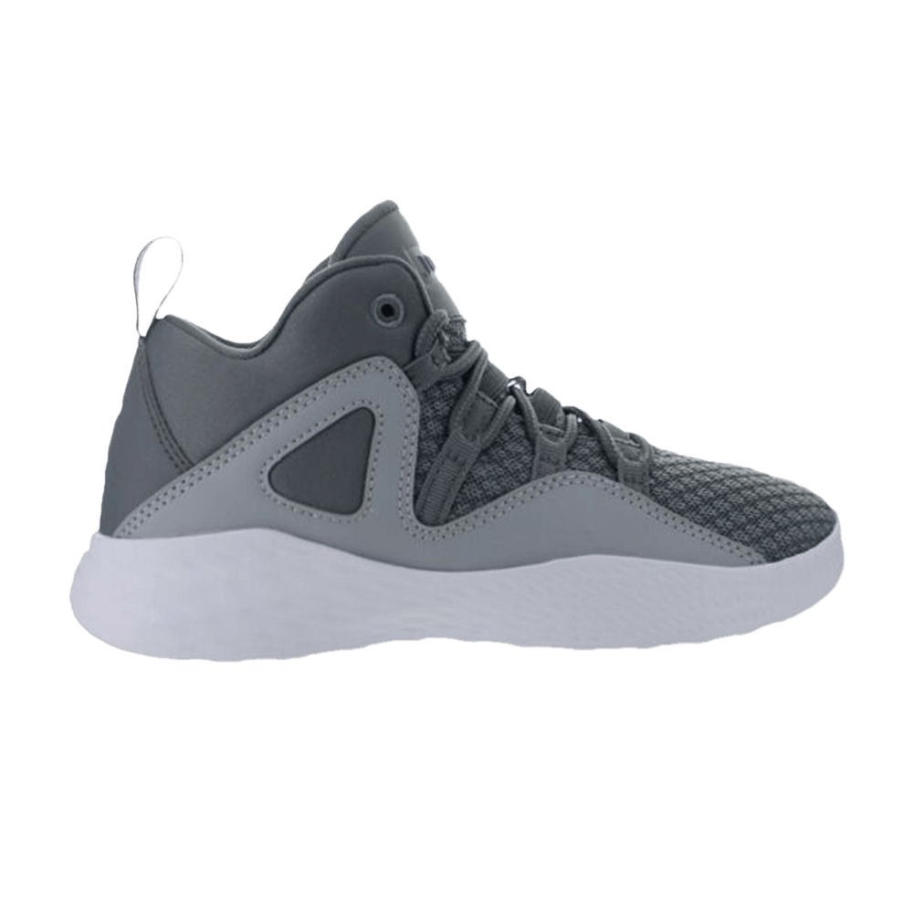 (Youth) Air Jordan Formula 23 'Cool Grey' 881467-003