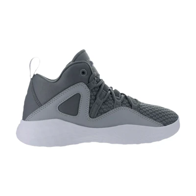 (Youth) Jordan Formula 23 'Cool Grey'