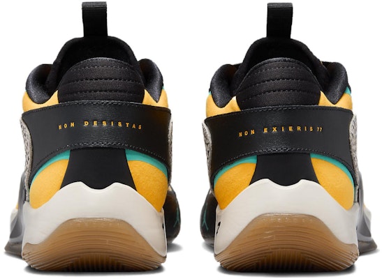 (Youth) Air Jordan Luka 2 'The Pitch' FQ9045-800 Purchase (Youth) Air Jordan Luka 2 'The Pitch' FQ9045-800