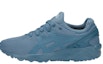 Buy (JR) ASICS Gel-Kayano Trainer Evo 'Biru' C7A0N-4242