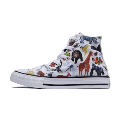 (Youth) Converse Chuck Taylor All Star Science Class Hi