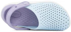 Shop (Youth) Crocs LiteRide Clogs 'Blue Purple' 205964-4KA
