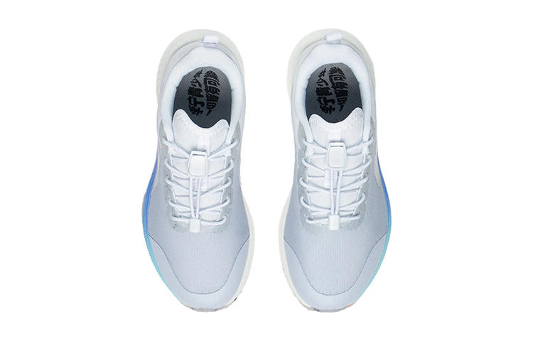 Shop (JR) Li-Ning Rogue 5 ''Bleu Tianyu'' YKFS026-2