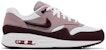 (Youth) Nike Air Max 1 'Light Violet Ore Burgundy Crush' DZ3307-112