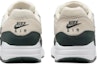 Purchase (JR) Nike Air Max 1 'Gading Pucat Bicoastal' DZ3307-113