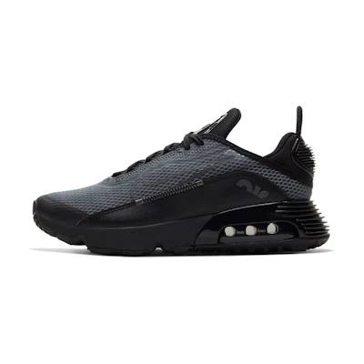 (Youth) Nike Air Max 2090 'Black Wolf Grey'