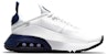(JR) Nike Air Max 2090 'Putih Biru Void' CJ4066-105