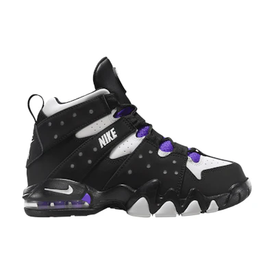(Youth) Nike Air Max 2 94 2015 'Black Purple'