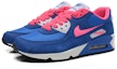 Lookbook (JR) Nike Air Max 90 2007 'Hyper Cobalt Pink' Biru Merah Jambu 345017-121
