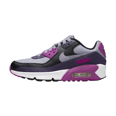 (Youth) Nike Air Max 90 'Dark Raisin'