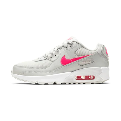 (Youth) Nike Air Max 90 'Photon Dust Digital Pink'