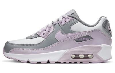 (Youth) Nike Air Max 90 Leather 'Iced Lilac' CD6864-002