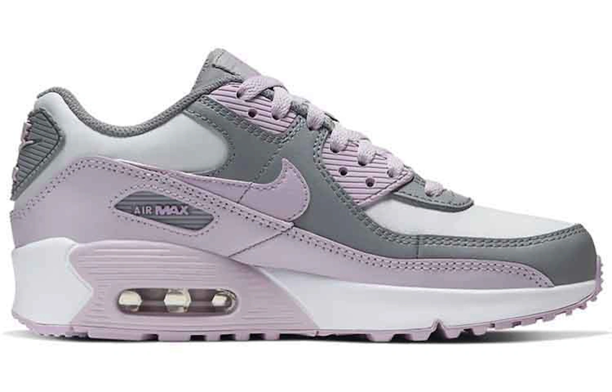 (Youth) Nike Air Max 90 Leather 'Iced Lilac' CD6864-002