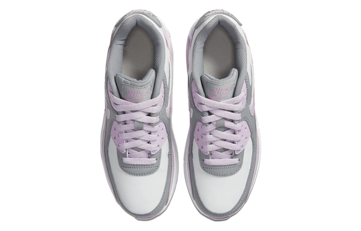(Youth) Nike Air Max 90 Leather 'Iced Lilac' CD6864-002