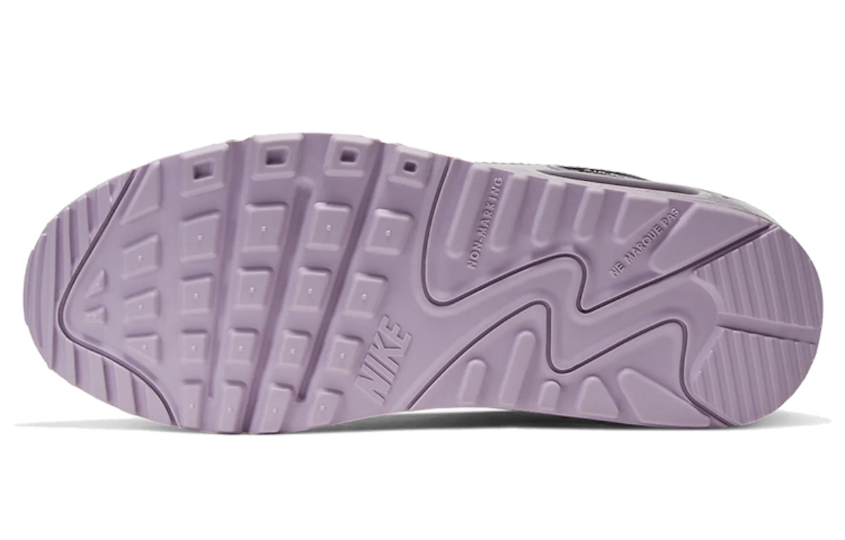(Youth) Nike Air Max 90 Leather 'Iced Lilac' CD6864-002