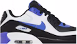 Order (JR) Nike Air Max 90 Kulit 'Persian Violet' CD6864-014