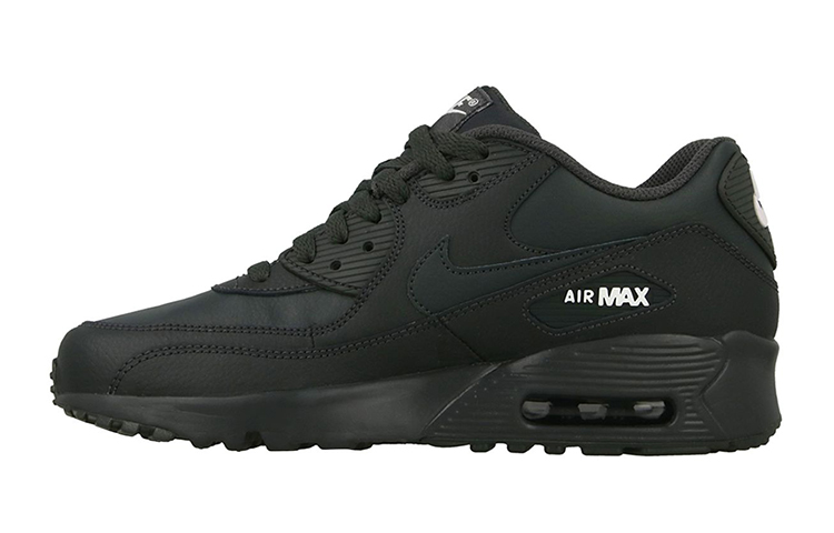 Buy (JR) ナイキ エア マックス 90 LTR アンスラサイト 833412-027