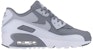 (JR) Nike Air Max 90 LTR 'Cool Grey' Lelaki Wanita Kasut Kasual Abu-Abu 833412-013