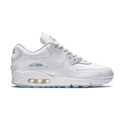 (Youth) Nike Air Max 90 PRM 'Ice Pack - White'