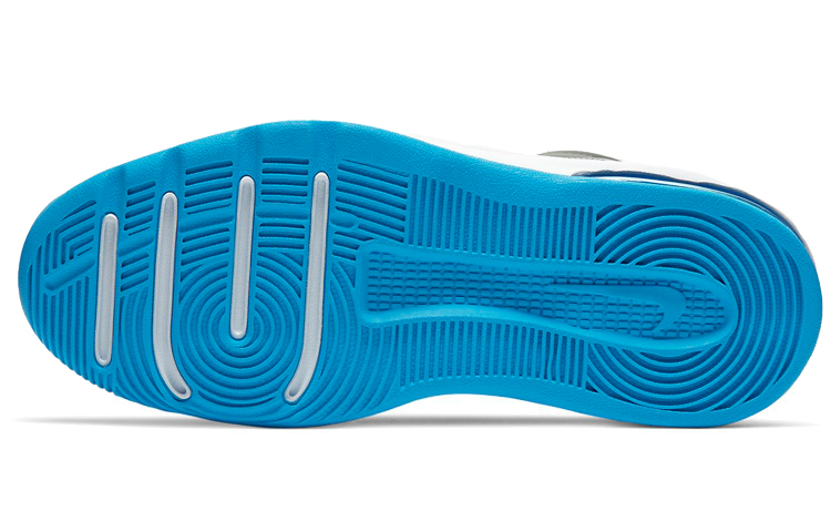 Details for (JR) Nike Air Max Charge 'Kelabu Biru Wolf' CD7027-001