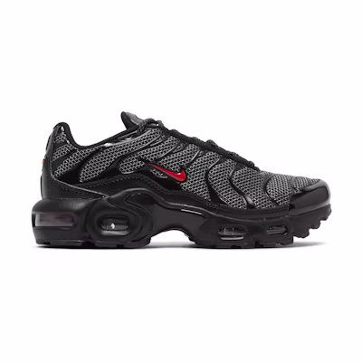 (Youth) Nike Air Max Plus 'Bred'