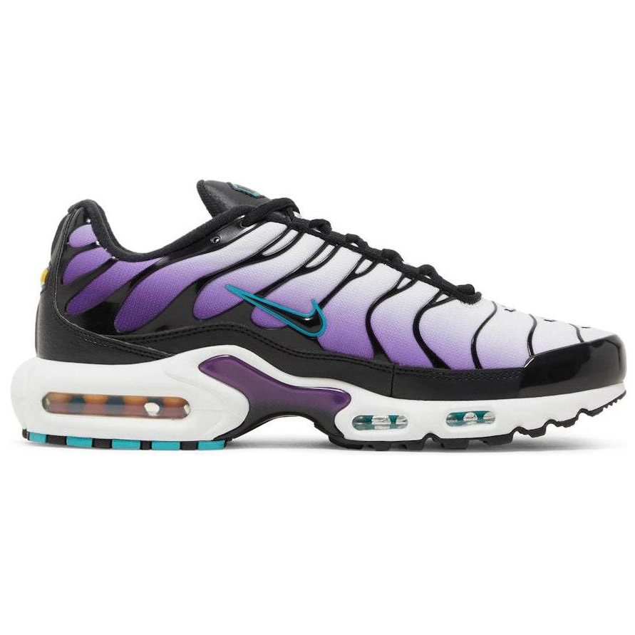 Order (JR) (ユース) ナイキ エア マックス プラス 'ブライト バイオレット マルチ' CQ9979-100 CQ9979-100