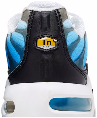 (Youth) Nike Air Max Plus 'Ice' FD9767-100 Sizing (Youth) Nike Air Max Plus 'Ice' FD9767-100
