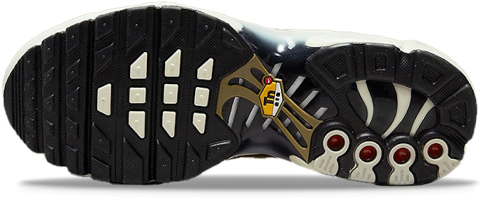 (JR) 耐克Air Max Plus '豹纹' DX9283-100 Details for (JR) 耐克Air Max Plus '豹纹' DX9283-100
