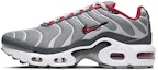 Buy (JR) 나이키 에어맥스 플러스 '그레이/레드' (Nike 에어맥스 플러스 '회/빨') CD0609-005