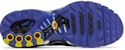 (JR) Nike Air Max Plus 'Persian Violet' Lelaki & Wanita CD0609-104