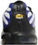Sizing (JR) Nike Air Max Plus 'Persian Violet' Lelaki & Wanita CD0609-104