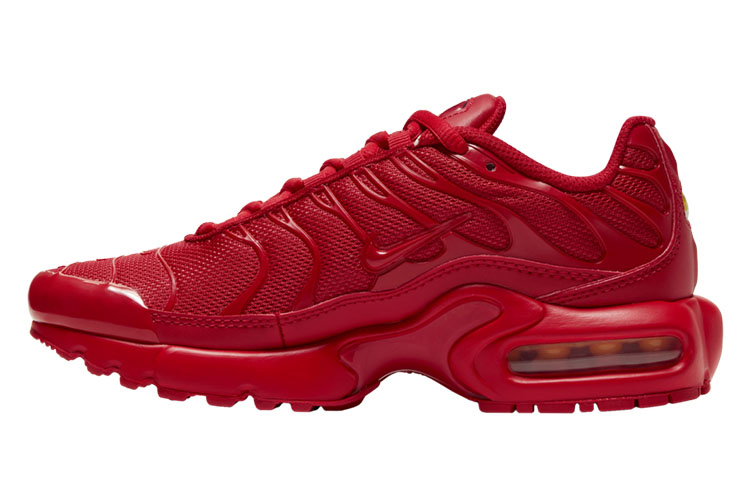 (Youth) Nike Air Max Plus 'Triple Red' CQ9748-600