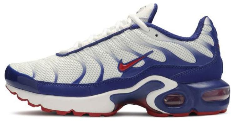youth-nike-air-max-plus-usa-ck-0003-100