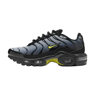 (Youth) Nike Air Max Plus 'Wolf Grey Opti Yellow'