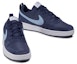 Purchase (JR) Nike Mahkamah Borough Rendah 2 CD6144-400