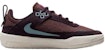 (Youth) Nike Day One SB 'Burgundy Ash Denim Turquoise' FN4210-600